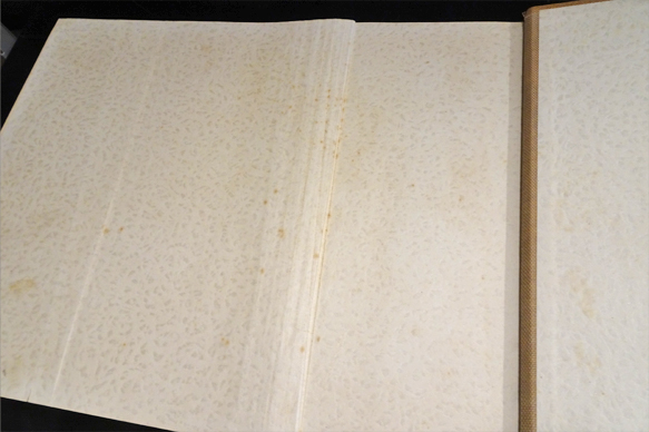 日光東照宮建築装飾図集(角南隆編) / 古本、中古本、古書籍の通販は