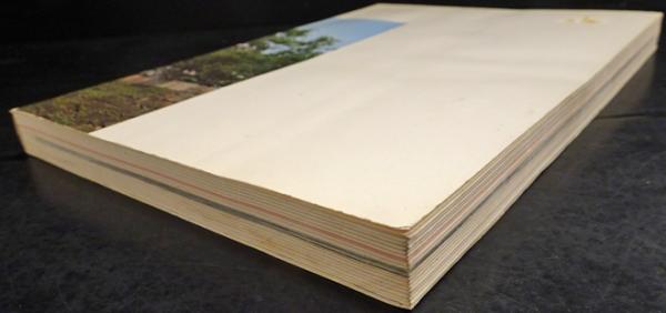 なにわ 大阪府警発足20周年記念特集号 / フォルモサ書院 / 古本 なにわ 大阪府警発足20周年記念特集号 / フォルモサ書院 / 古本