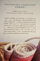 太魯閣族人的知識與織藝　花蓮水源部落家藏織品調查報告　Mseusa,mneghuway knkla kndsan rudan Truku