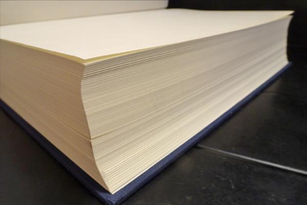 大唐西域記(桑山正進, 高田時雄 編) / フォルモサ書院 / 古本、中古本