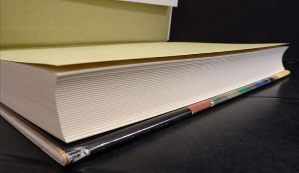 俵屋宗達 : 金銀の〈かざり〉の系譜(玉蟲敏子 著) / フォルモサ書院