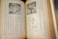 ニューギニヤ探檢