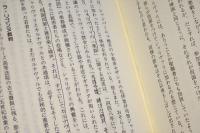シャリヴァリ : 民衆文化の修辞学