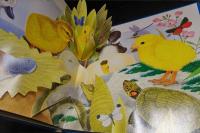 An Adventure with Charlie Chick