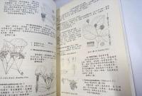 台湾維管束植物簡誌 4