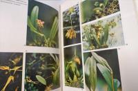 台灣蘭科植物　1・2　(2冊)