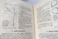 河北植物志 第1巻