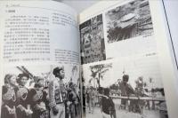 台灣原住民文化藝術