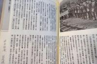 變遷中的台閩戲曲與文化