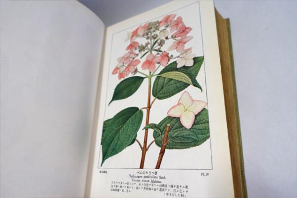牧野日本植物図鑑(牧野富太郎 著) / 古本、中古本、古書籍の通販は