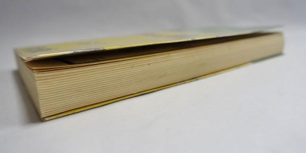 北京横丁(高健子著) / 古本、中古本、古書籍の通販は「日本の