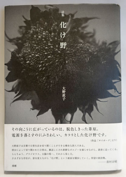 【超特価】 沖縄県史 11-21 (資料編11冊揃)(琉球政府) / フォルモサ書院 文化、民俗