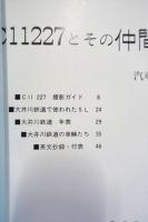 C11227とその仲間たち