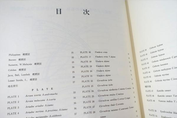 東南アジア島嶼の蝶 : 図鑑(塚田悦造 編) / フォルモサ書院