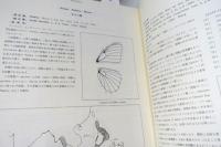 東南アジア島嶼の蝶 : 図鑑