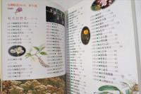 台灣野花365天　　秋冬篇