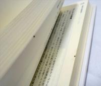 悪魔の履歴書