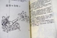 臺灣政治漫畫精選集