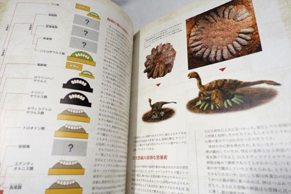 恐竜博2019 The Dinosaur Expo 恐竜博2019 THE DINOSAUR EXPO [図録] | 真鍋真(監修），坂田智佐子(編