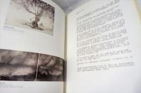 Recent Paintings ESKENAZI 
