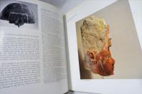 egyptian antiquities　1988