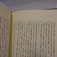 台湾自由民主化史論