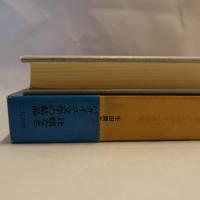 眼球譚 太陽肛門 供犠 松毬の眼