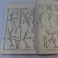 諸流図式生花秘伝独稽古