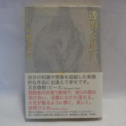 透明な迷宮