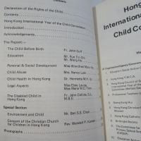 Evaluation Report: The Child in Hong Kong