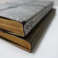 文学におけるマニエリスム : 言語錬金術ならびに秘教的組合わせ術　Ⅰ・Ⅱ　【2冊】