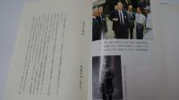 悲涙の戦記 : 沖縄戦回想 第六十二師団通信隊
