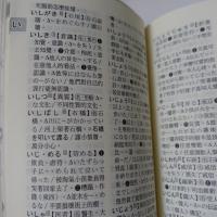 日中．中日隨身詞典
