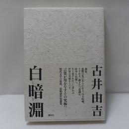 白暗淵