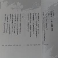 亂世張瞳：愛恨日本流行文化