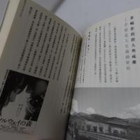 亂世張瞳：愛恨日本流行文化