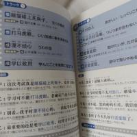 中国語四字成語・慣用表現800 : +ことわざ　【新装版】