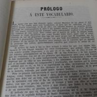 vocabulario de la lengua tagala, compuesto por varios religiosos doctos y graves, coordinado por el p. juan de noceda y el
