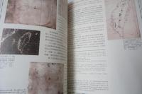 １７世紀荷蘭人絵製的　台湾老地図　　上下2冊