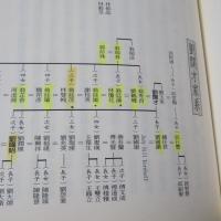 總統的親戚：臺灣權貴家族