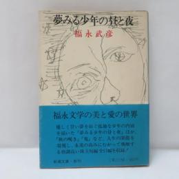 夢みる少年の昼と夜