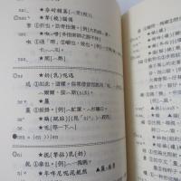 簡明台語字典