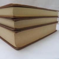 Notes on Marco Polo, in Three Volumes