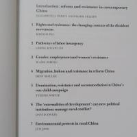 Chinese Society: Change, Conflict and Resistance