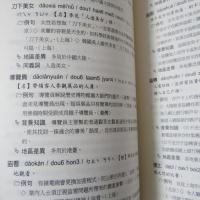 21世紀華語新詞語辭典