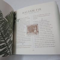 Leaves in Myth, Magic and Medicine