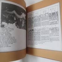 a dream of freedom: the early sarawak chinese