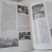 新嘉坡永春会馆庆祝成立120周年暨互助会25周年纪念特刊, 1867-1987