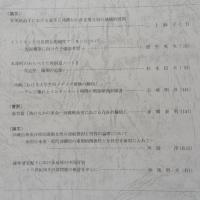 南島文化33 ＜沖縄国際大学南島文化研究所紀要＞