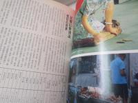 莊嚴的世界　　上下　　2冊